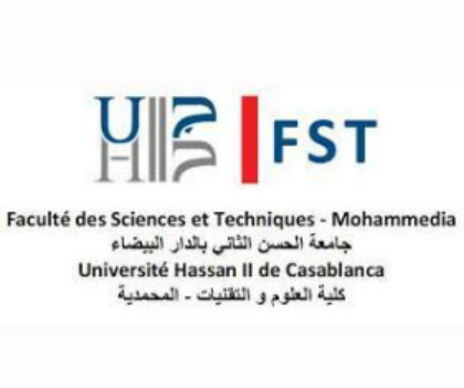 fstm