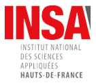 insa